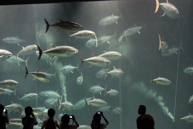 葛西臨海水族園