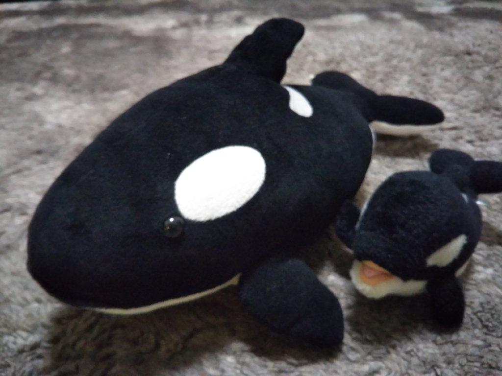 シャチのぬいぐるみ