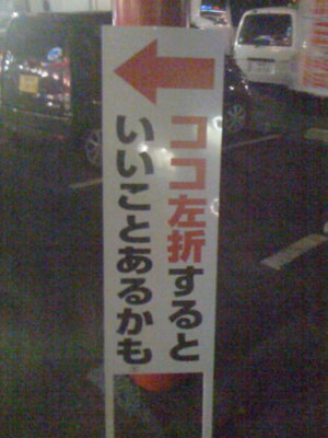 f:id:AR30:20100311210801j:image