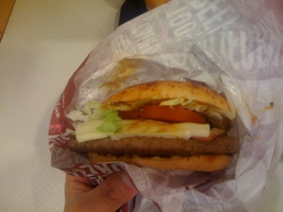 f:id:AR30:20100322212544j:image
