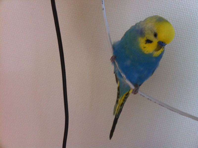 f:id:AR30:20110425095608j:image:w300