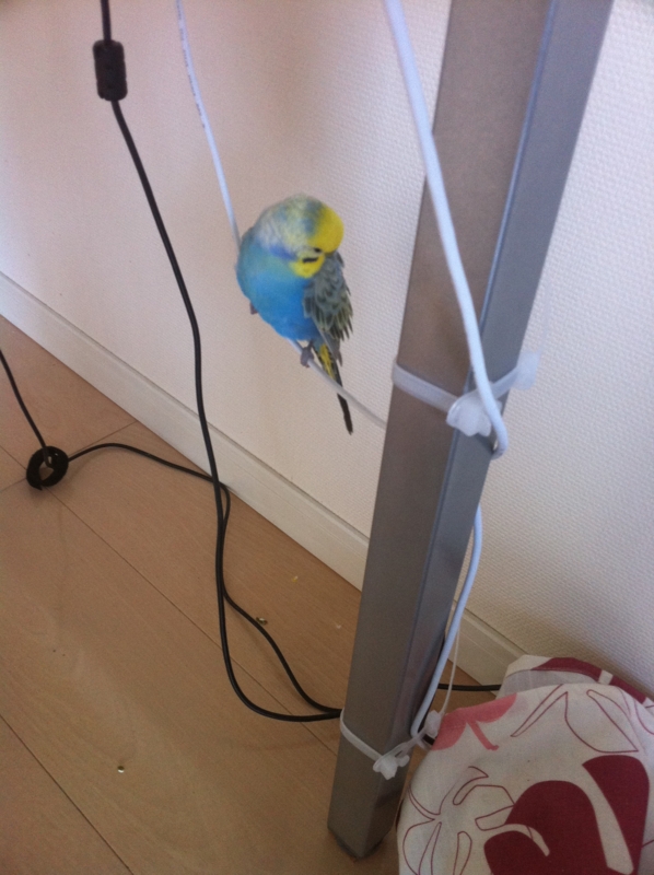 f:id:AR30:20110425095635j:image:w300