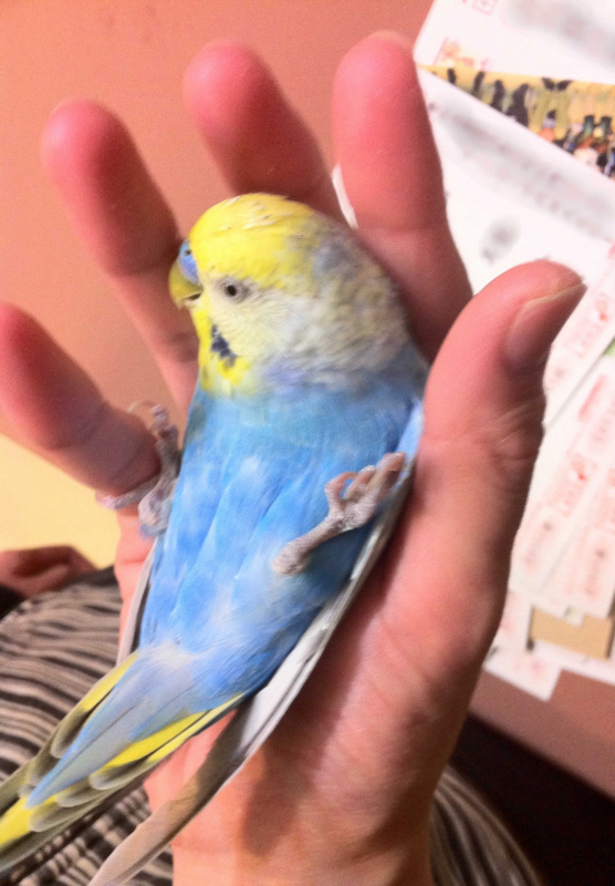 f:id:AR30:20110618215154j:image:w300