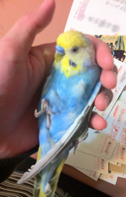 f:id:AR30:20110618215155j:image:w300
