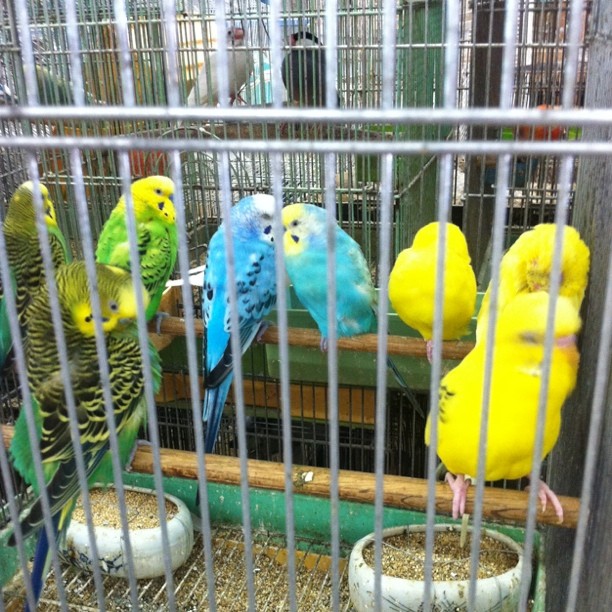f:id:AR30:20110628071211j:image:w400