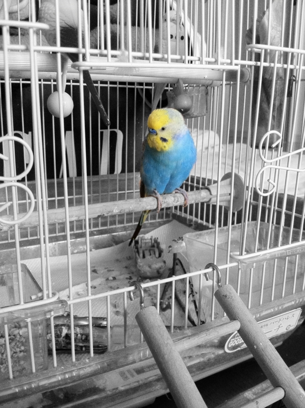 f:id:AR30:20110708070047j:image:w350