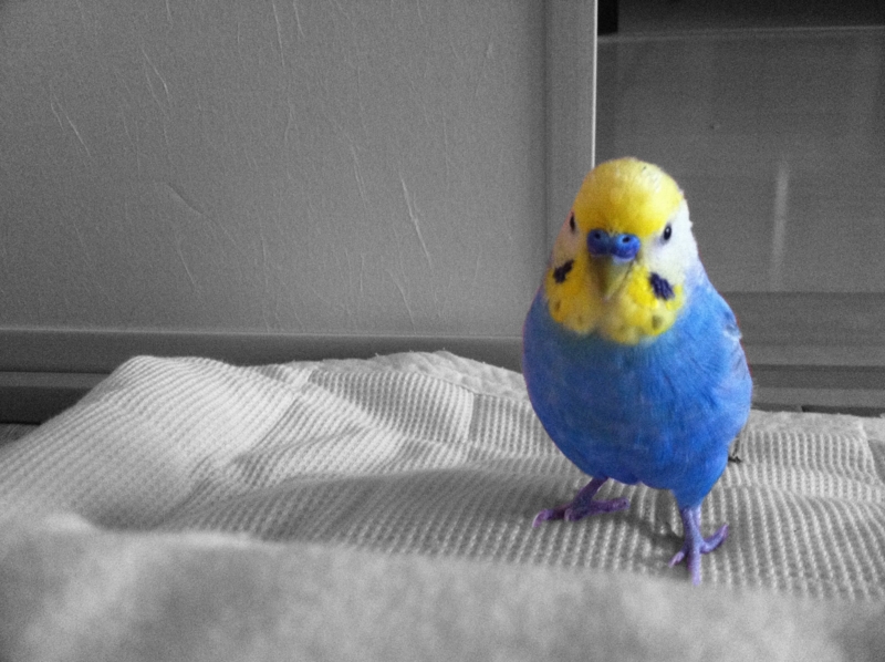 f:id:AR30:20110708071308j:image:w550