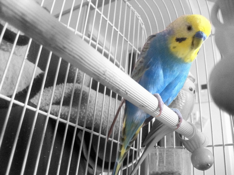 f:id:AR30:20110708071637j:image:w550