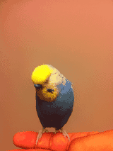 f:id:AR30:20110824220756g:image