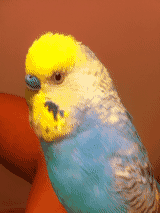 f:id:AR30:20110824220759g:image
