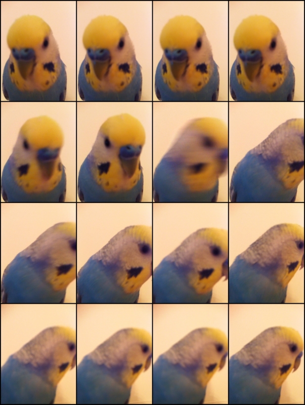 f:id:AR30:20110826071841j:image:w340