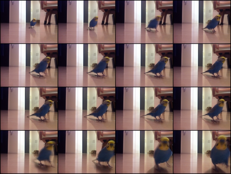 f:id:AR30:20110826071845j:image:w680