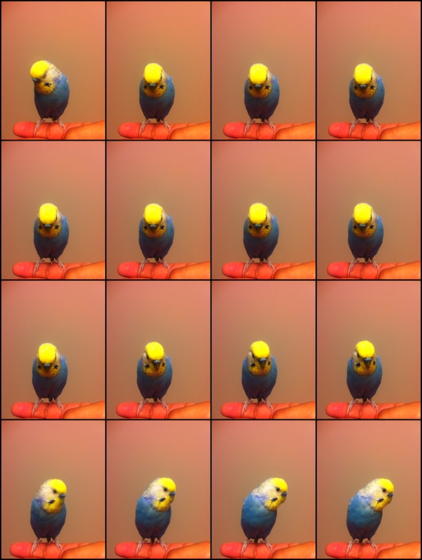 f:id:AR30:20110826071846j:image:w340