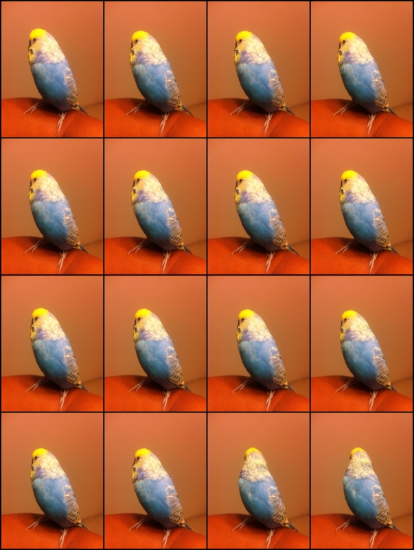 f:id:AR30:20110826071848j:image:w340