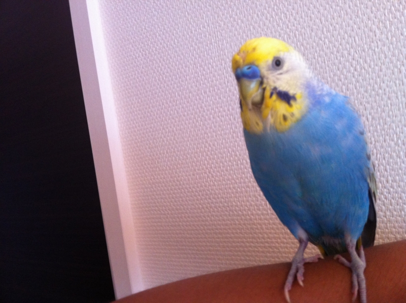 f:id:AR30:20110902064843j:image:w550