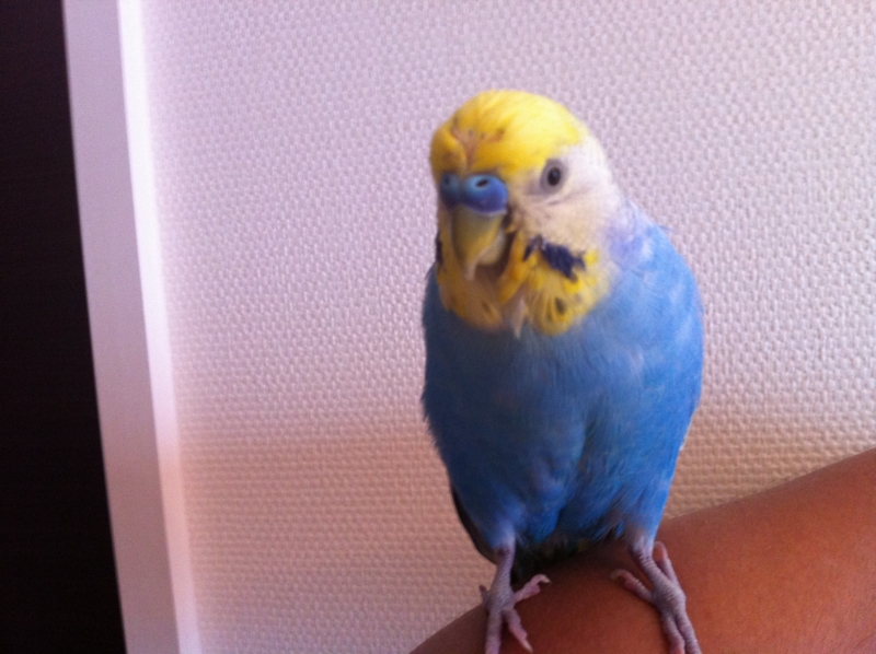 f:id:AR30:20110902064855j:image:w550
