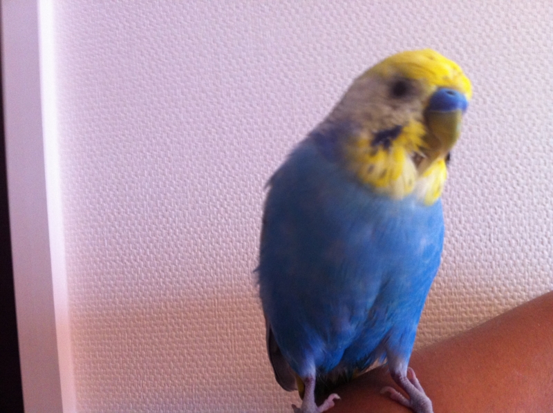 f:id:AR30:20110902064901j:image:w550