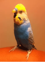 f:id:AR30:20111106204803j:image