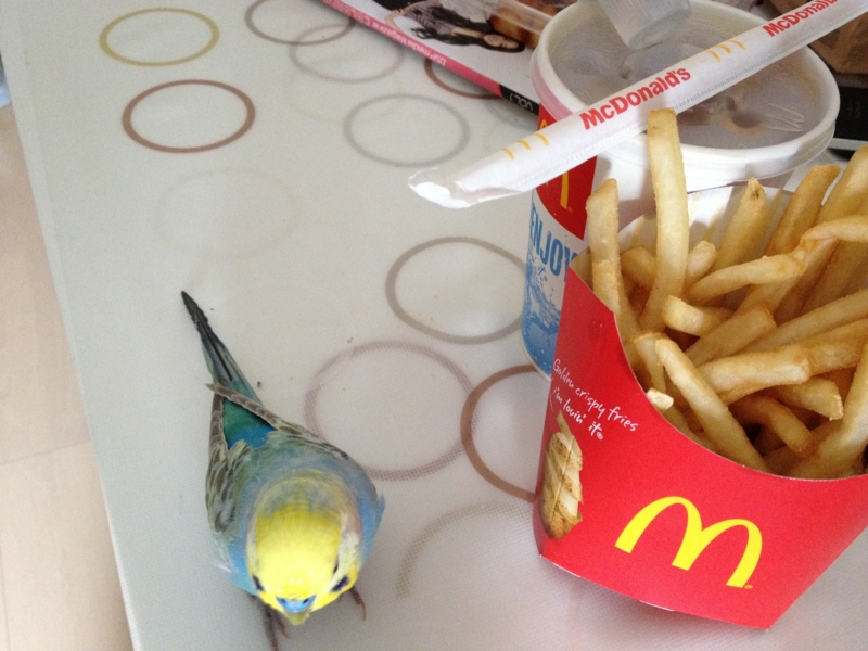 f:id:AR30:20120421135807j:image:w450