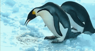 f:id:AR30:20131010071931g:plain