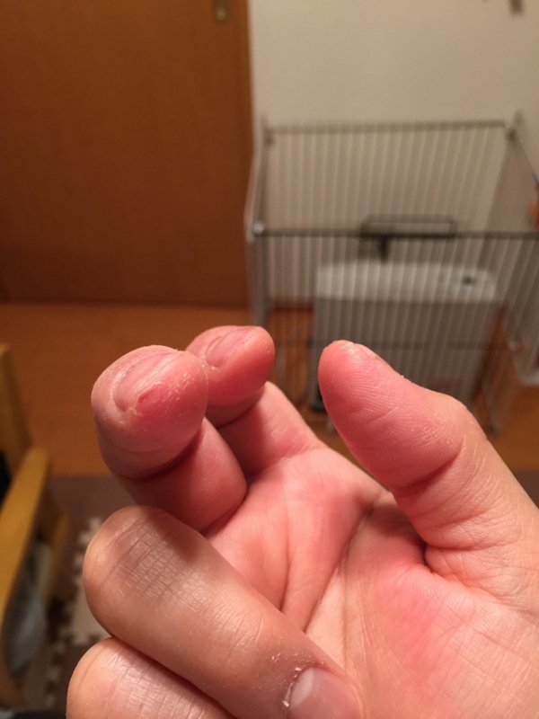 f:id:AR30:20150329002759j:plain