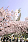 f:id:ARA:20060407072035j:image