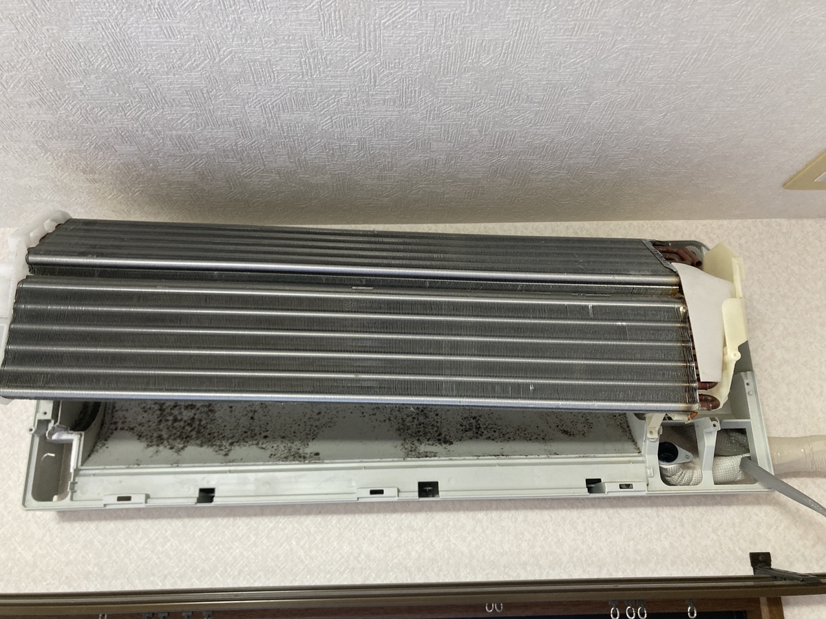 エアコンクリーニング SHARP AY-H22DM ドレンパン送風ファン分解 