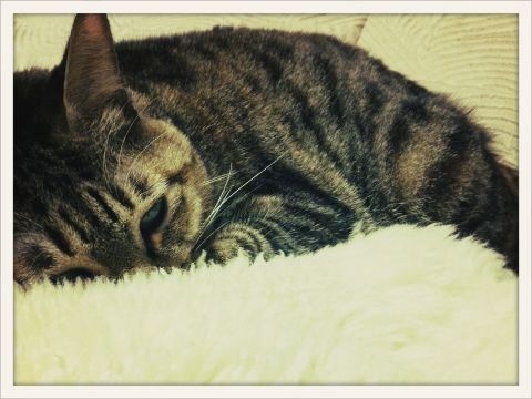 f:id:ASAKURA_Yuco:20120222193421j:image