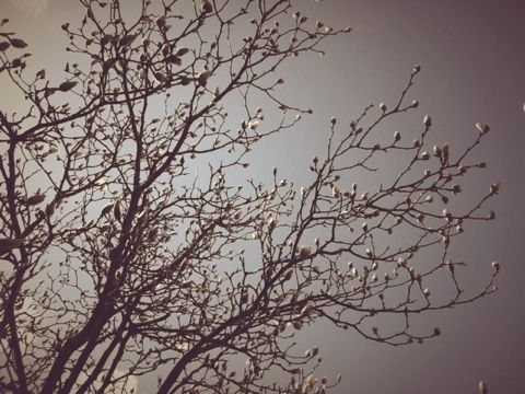 f:id:ASAKURA_Yuco:20120328214715j:image