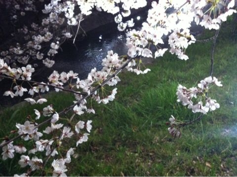 f:id:ASAKURA_Yuco:20120409095118j:image