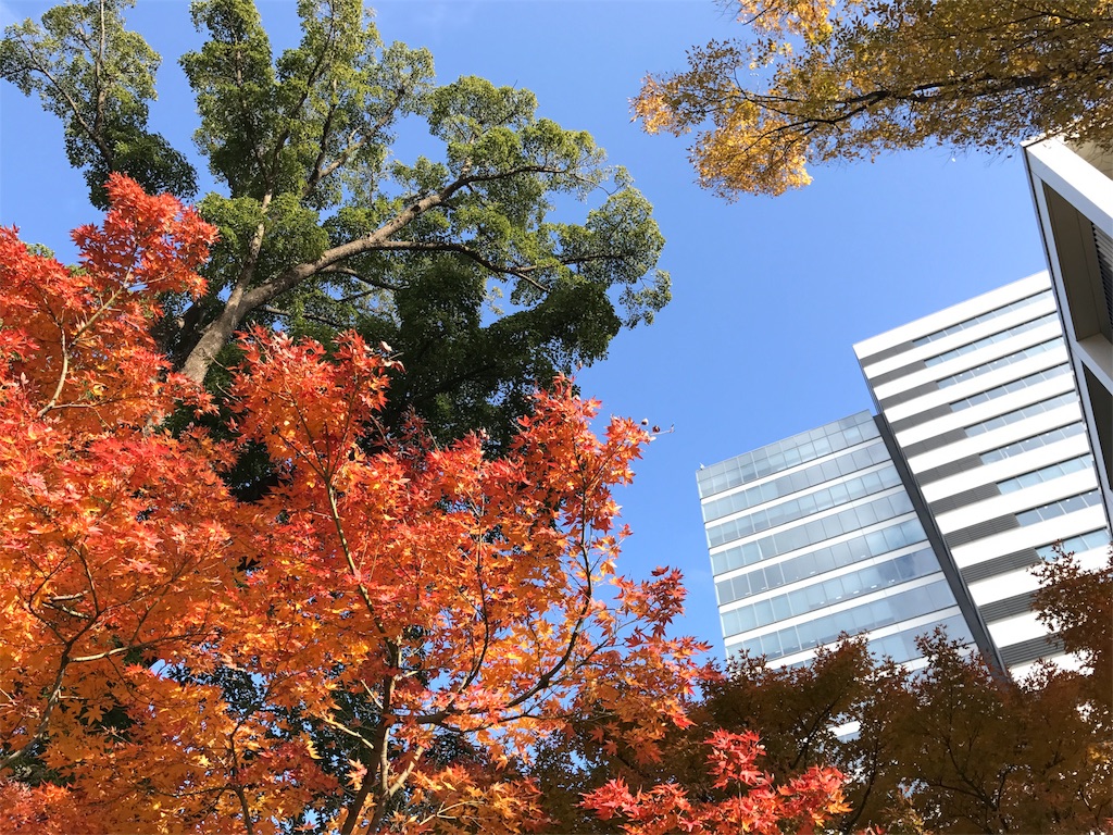 f:id:ASHIASHI:20171226201813j:image