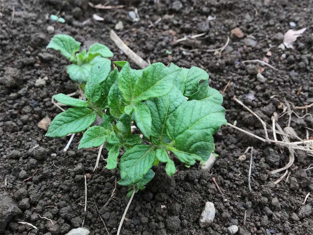 f:id:ASHIASHI:20180417191703j:image f:id:ASHIASHI:20180417191703j:image