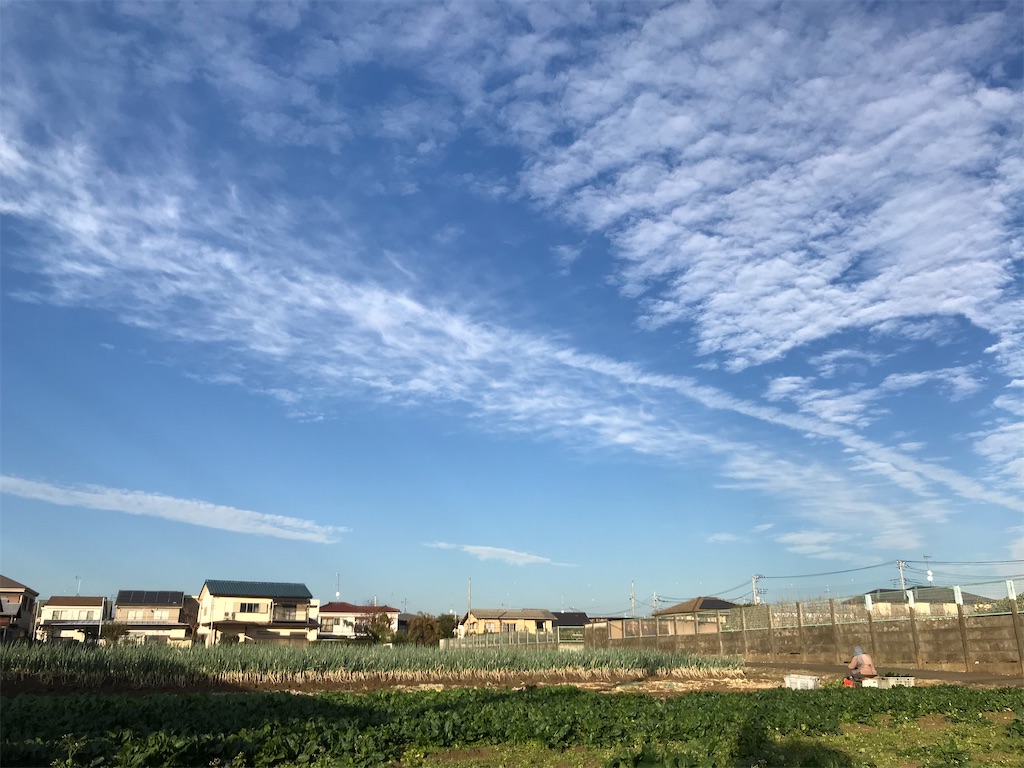 f:id:ASHIASHI:20201210204841j:image