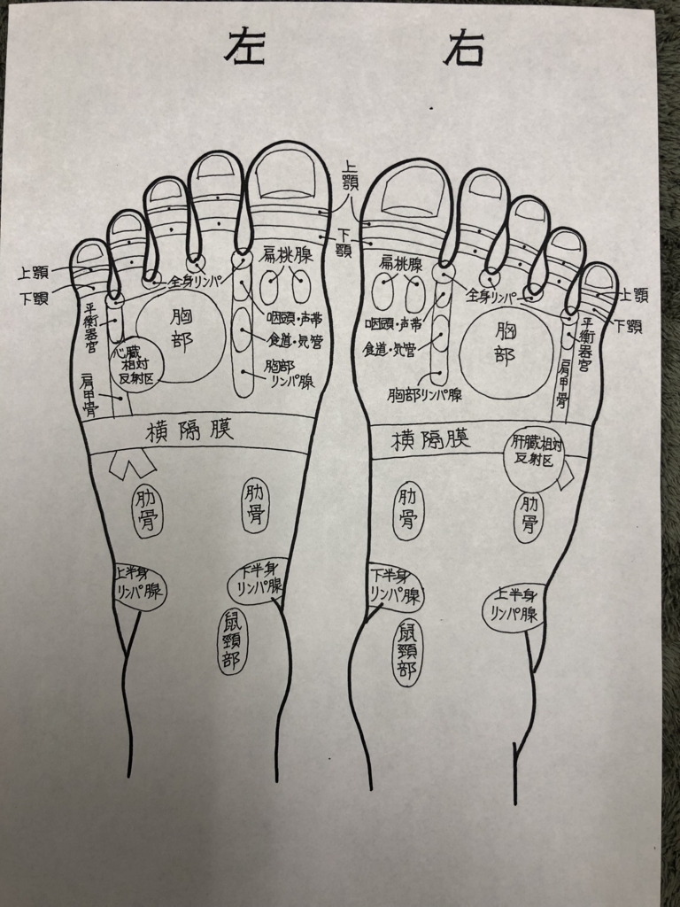 f:id:ASHIMARUKUN:20180308135558j:plain