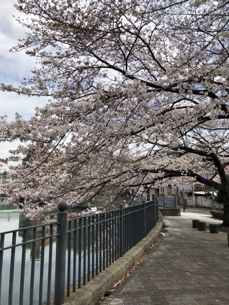 f:id:ASHIMARUKUN:20180324114051j:plain