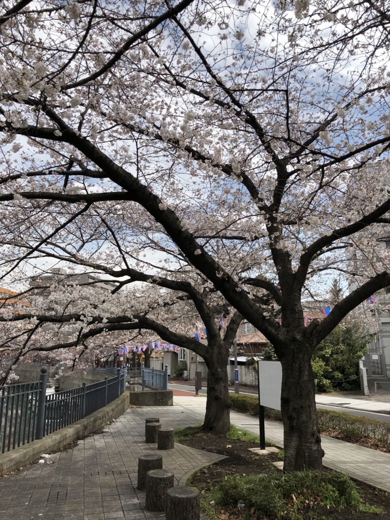 f:id:ASHIMARUKUN:20180324114115j:plain