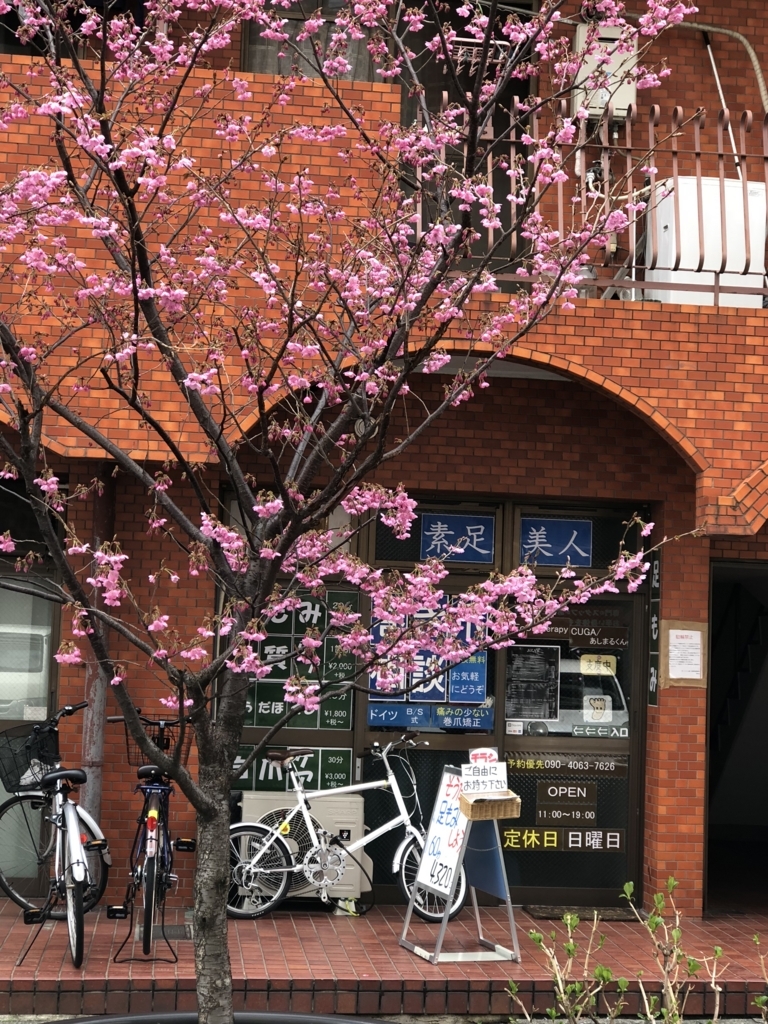 f:id:ASHIMARUKUN:20180324114135j:plain