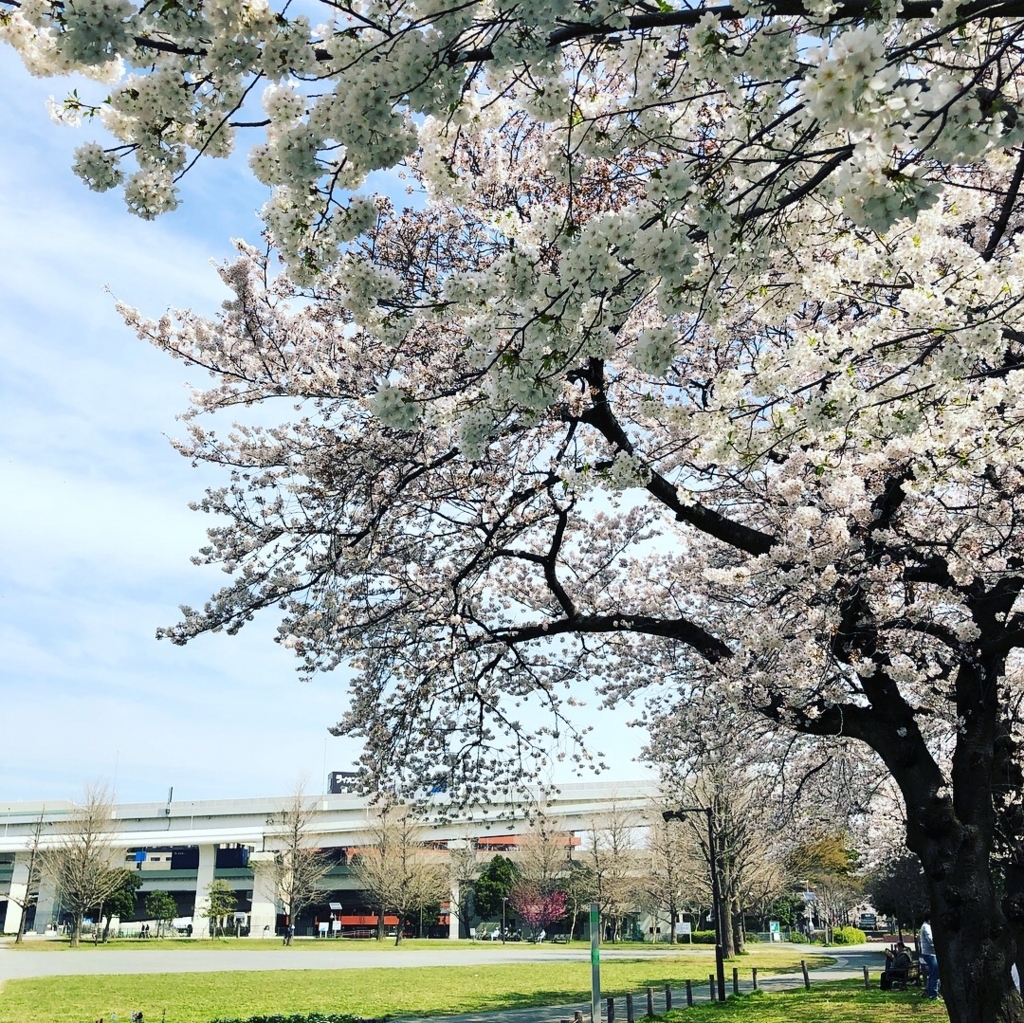 f:id:ASHIMARUKUN:20180328150834j:plain