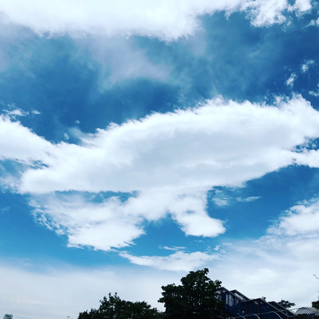 f:id:ASHIMARUKUN:20180629151324j:plain