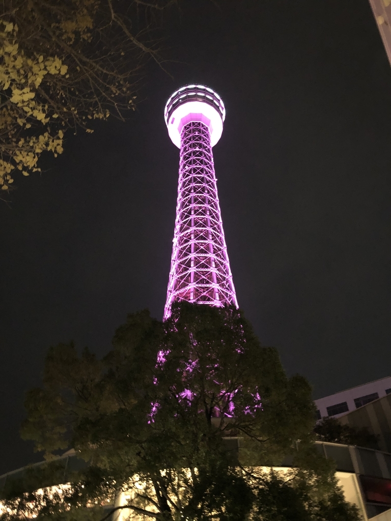 f:id:ASHIMARUKUN:20181211170623j:plain