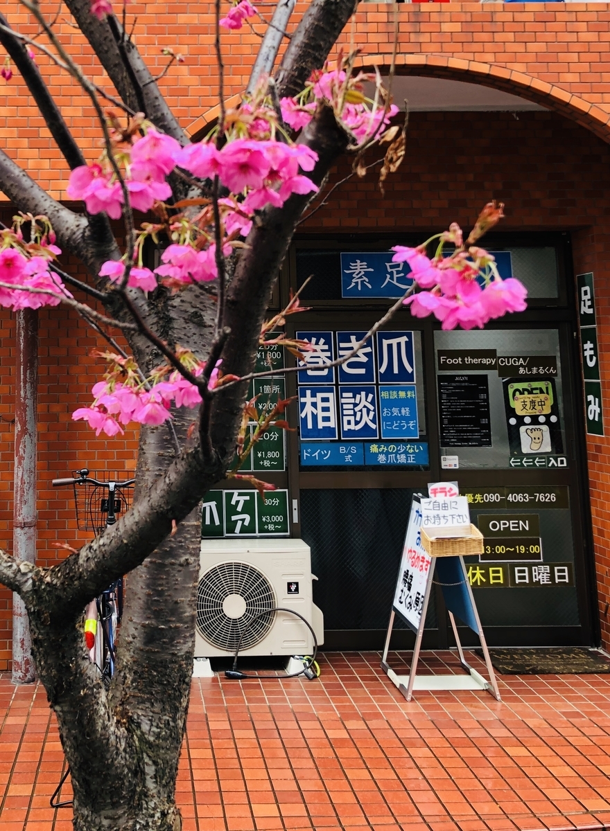 f:id:ASHIMARUKUN:20190326145324j:plain