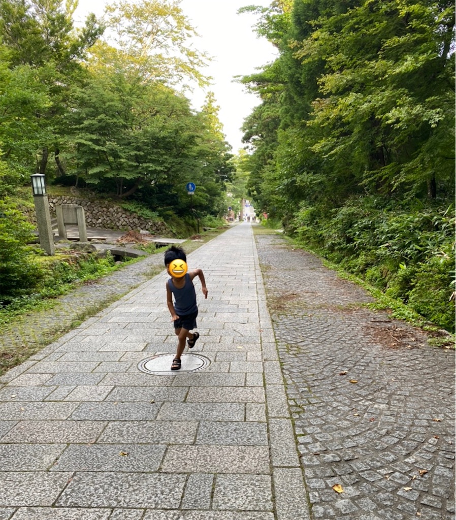 f:id:ASOBO_yo:20210803141325j:image