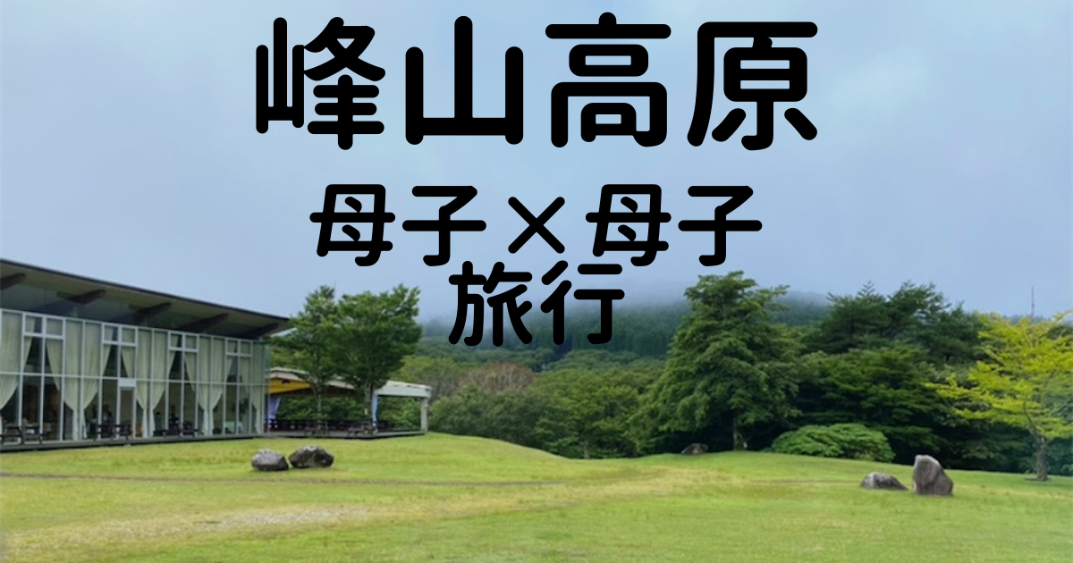 f:id:ASOBO_yo:20210815224416p:plain