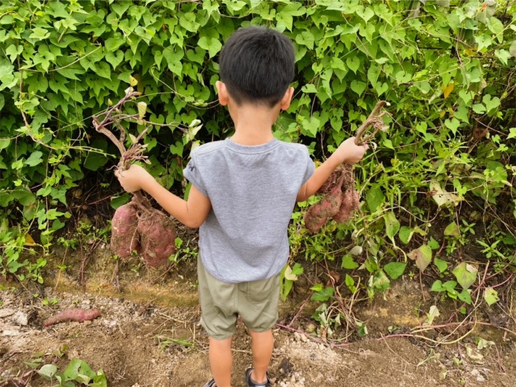 f:id:ASOBO_yo:20210913220852j:image