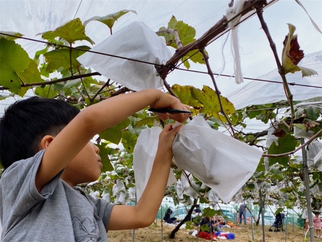 f:id:ASOBO_yo:20210913220901j:image