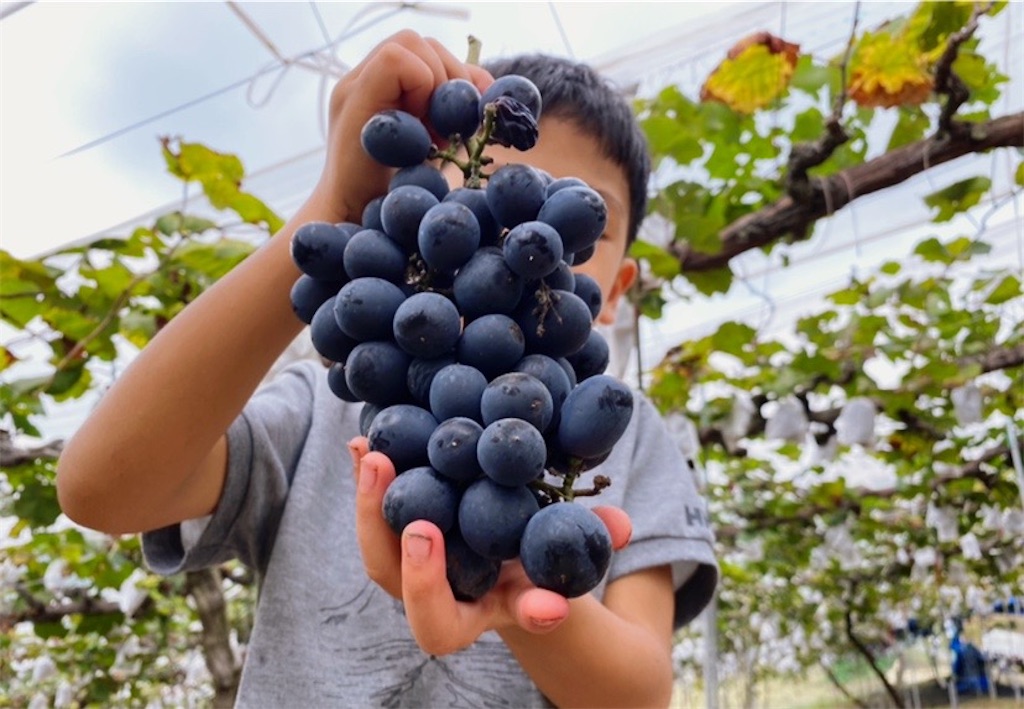 f:id:ASOBO_yo:20210913220906j:image