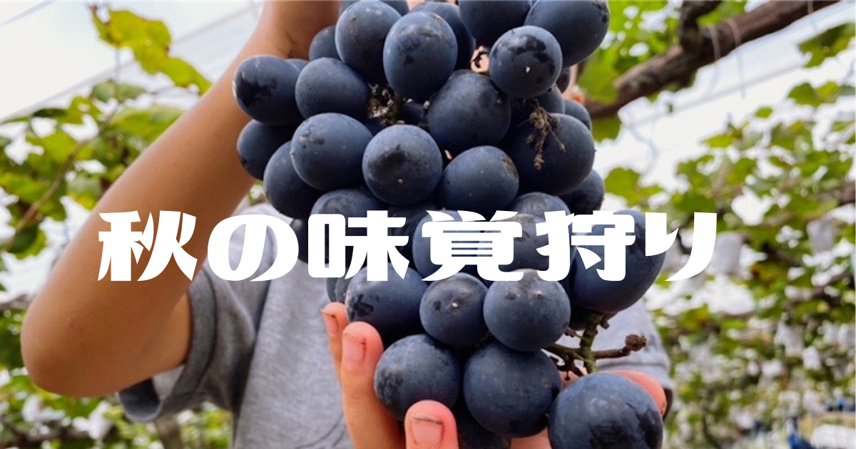 f:id:ASOBO_yo:20210913221831p:plain