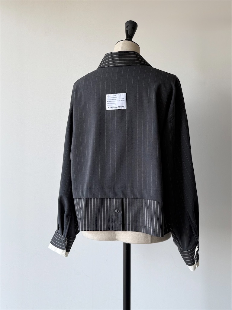 f:id:ASPSYCHE:20251001181803j:image