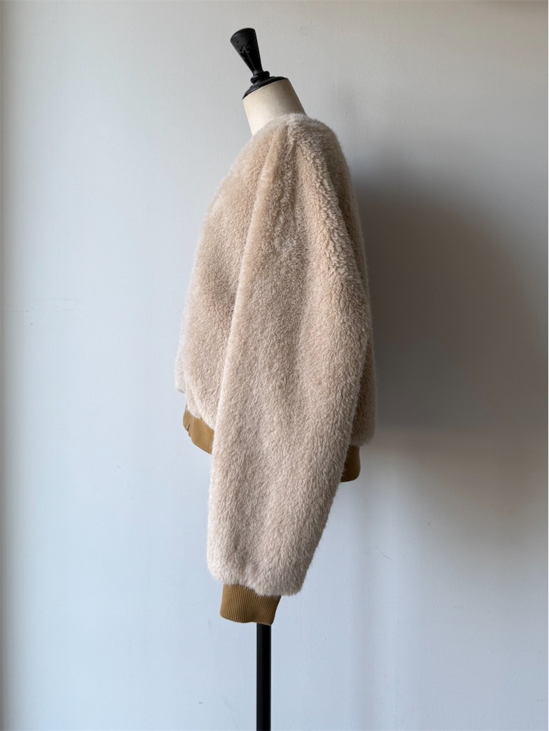 f:id:ASPSYCHE:20251201201148j:image