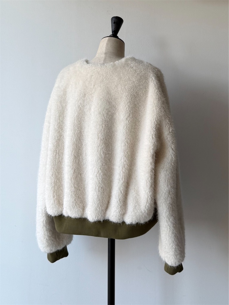 f:id:ASPSYCHE:20251201201159j:image